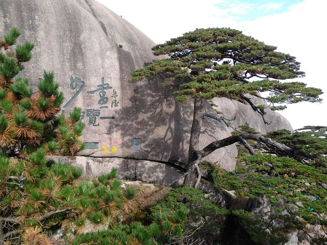 日登黃山，夜醉溫泉！